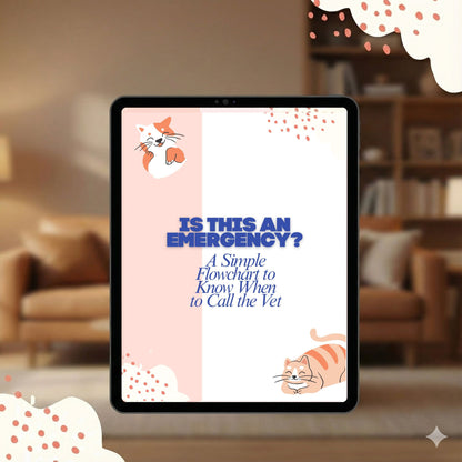 Emergency Symptoms Every Cat Owner Should Know - Ebook (+ 4 Free Bonus Tools)