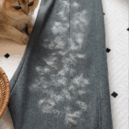 EVADRA PET™ Hair Removal Brush